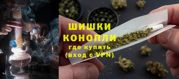 бошки Богданович