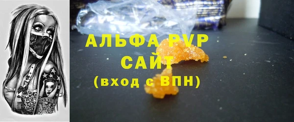 крисы Новодвинск