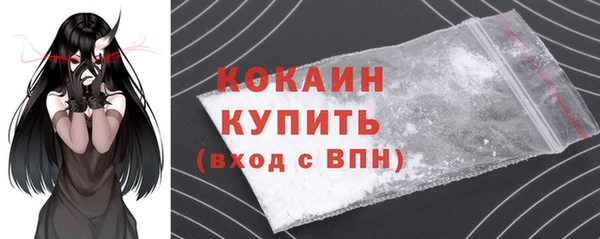 крисы Новодвинск