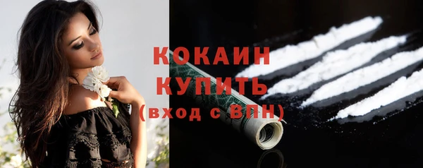 шишки Новокубанск
