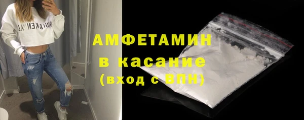 крисы Новодвинск