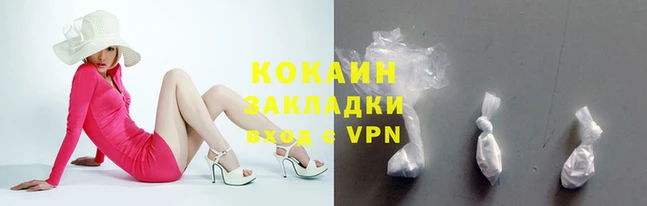 шишки Новокубанск