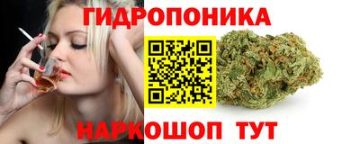 apvp Заводоуковск