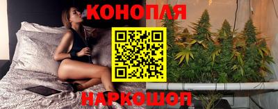 прущие грибы Жуковский