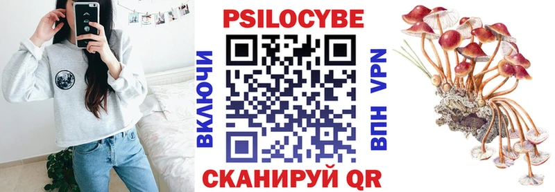 Псилоцибиновые грибы прущие грибы как найти Старая Русса