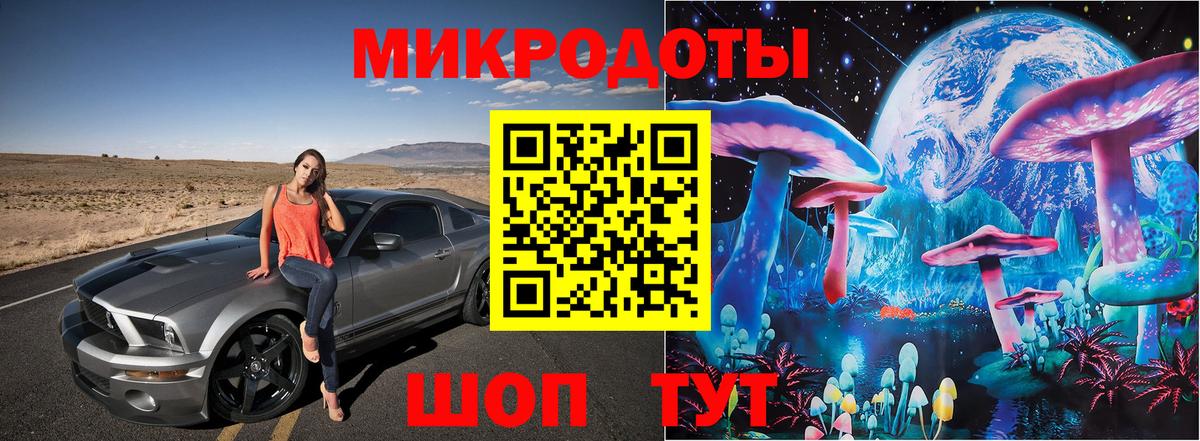 дарнет шоп  Старая Русса  Псилоцибиновые грибы мицелий 